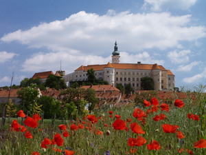 Mikulov-11.jpg